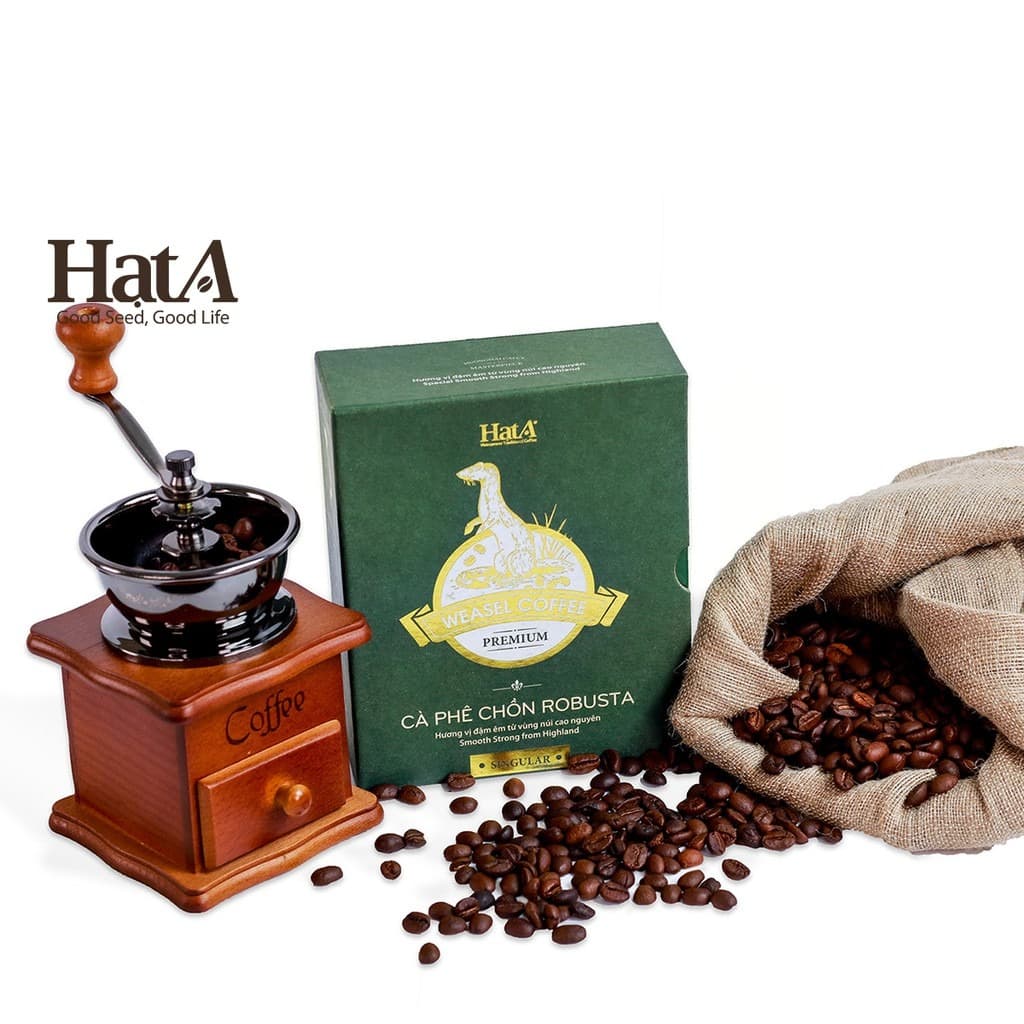 Hạt A Cafe Premium Weasel Coffee 100% Pure Robusta Beans 16oz