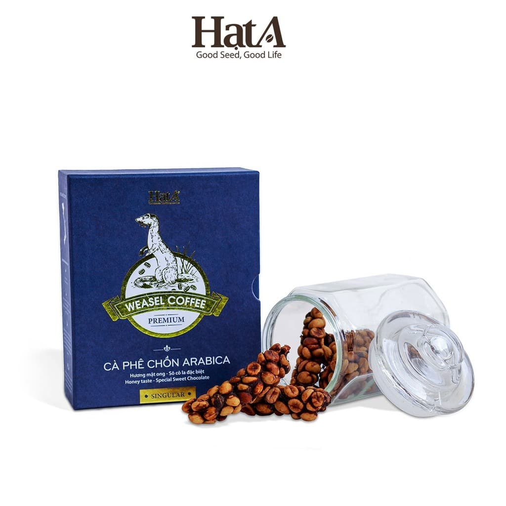 Hat A Cafe Premium Weasel Coffee Honey - Chocolate 100g Gift Box