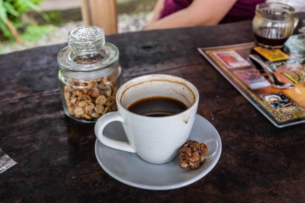 Kopi Luwak Coffee Price Per Cup: Luxury Brew Prices Surge